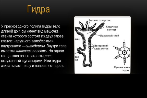 Кракен зеркало прокатис